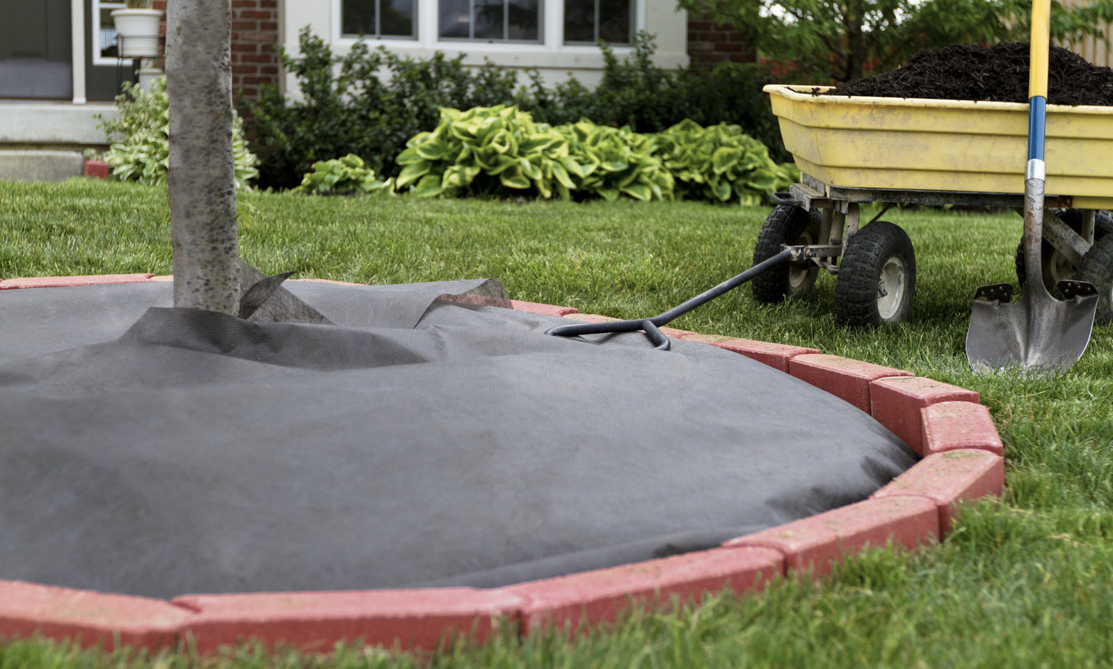 How To Use Landscape Fabric To Control Weeds Orchard Park Tree Service